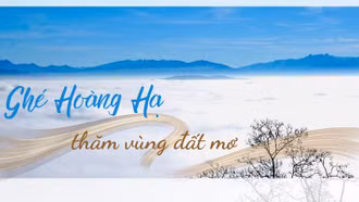 Ghé Hoàng Hạ thăm vùng đất mơ