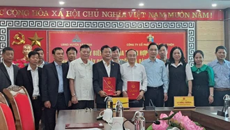 Huyện Văn Bàn ký kết hợp tác sản xuất cây dược liệu
