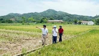 Quan tâm phát triển thủy lợi nhỏ, thủy lợi nội đồng