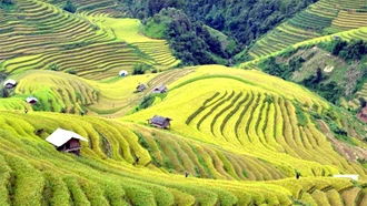Thân thiện và hấp dẫn