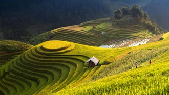 Chương trình Tuần Văn hóa - Du lịch Mường Lò và Lễ hội khám phá Danh thắng Quốc gia ruộng bậc thang Mù Cang Chải 2018