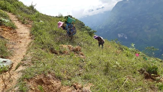 Si Ma Cai triển khai Dự án trồng rừng phòng hộ bảo vệ môi trường sinh thái