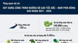 Tổng quan dự án đường cao tốc bắc - nam phía đông giai đoạn 2021-2025