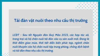 Tái đàn vật nuôi theo nhu cầu thị trường