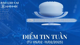 Điểm tin trong tuần từ ngày 5/2-11/2