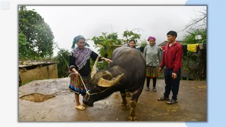 “Bảo hiểm” của người dân Mản Thẩn