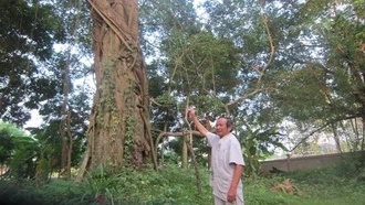 Ngôi làng kỳ lạ suốt hàng trăm năm đặt hương ước không nuôi con vật màu trắng