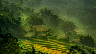 Ðam mê với “nghệ thuật thứ 8”