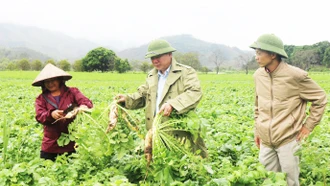 Tạo chuỗi liên kết nâng cao giá trị sản xuất nông nghiệp
