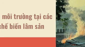 Bảo vệ môi trường tại các cơ sở chế biến lâm sản