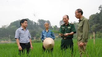 Thượng tá biên phòng “làm dâu” đất lành