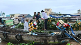 Về miền “gạo trắng nước trong”