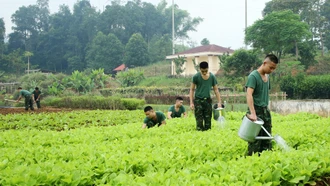 Tăng gia sản xuất để đảm bảo sức khỏe bộ đội