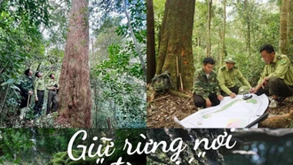 Giữ rừng nơi “đèo gió”