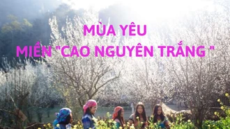 Mùa yêu miền “cao nguyên trắng”