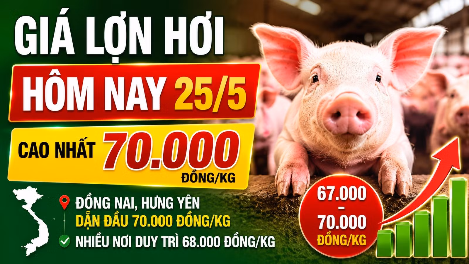 gia-lon-hoi-hom-nay-25-5-2026-4803.jpg