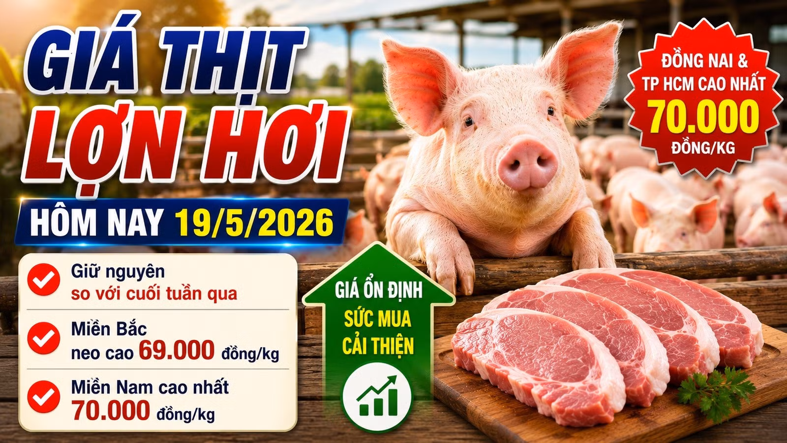 gia-thit-lon-hoi-hom-nay-19-5-2026-4700.jpg
