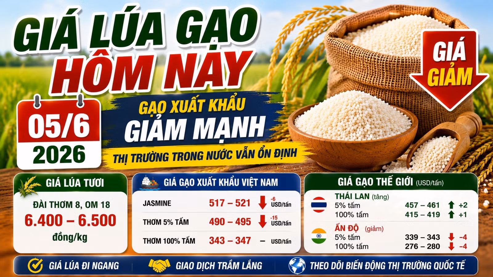 gia-lua-gao-hom-nay-5-6-2026-2589.jpg