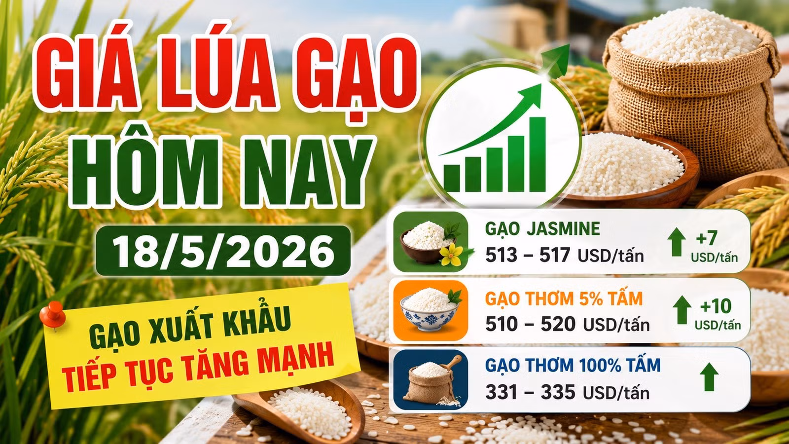 gia-lua-gao-hom-nay-18-5-2026-9349.jpg