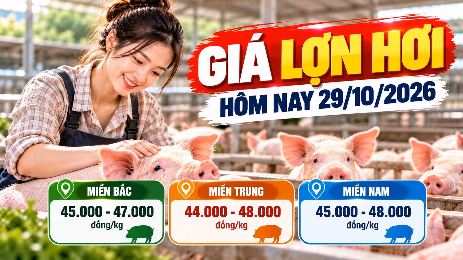 gia-lon-hoi-hom-nay-29-10.jpg
