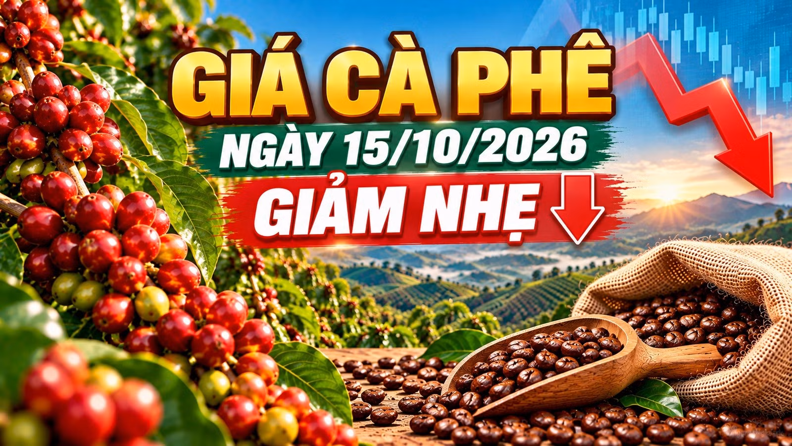 gia-ca-phe-hom-nay-15-4918.jpg