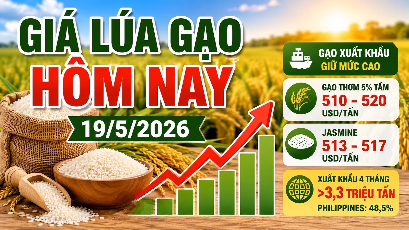gia-lua-gao-hom-nay-19-5-2026-1469.jpg
