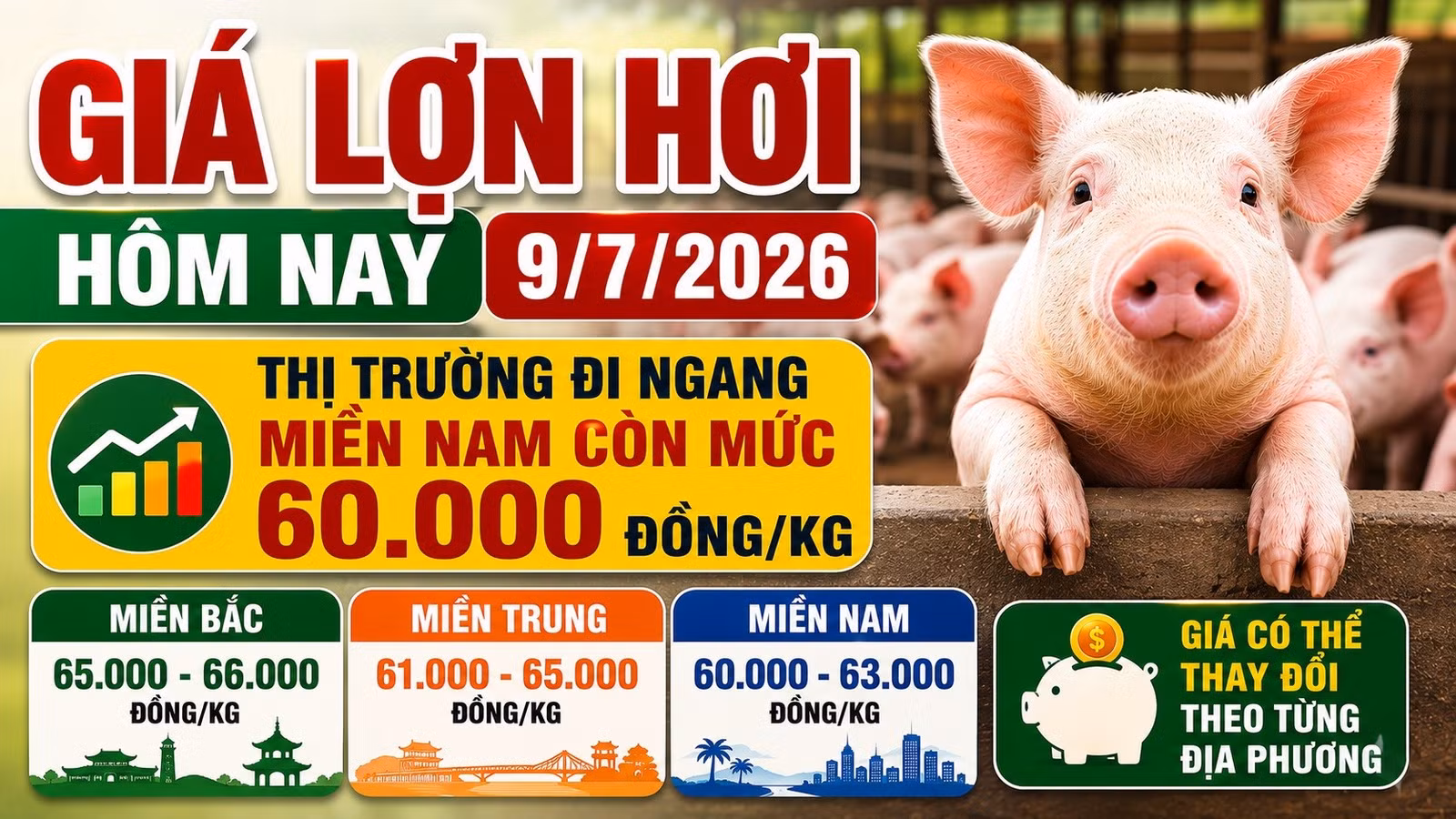 gia-heo-hoi-hom-nay-9-7-2026.jpg
