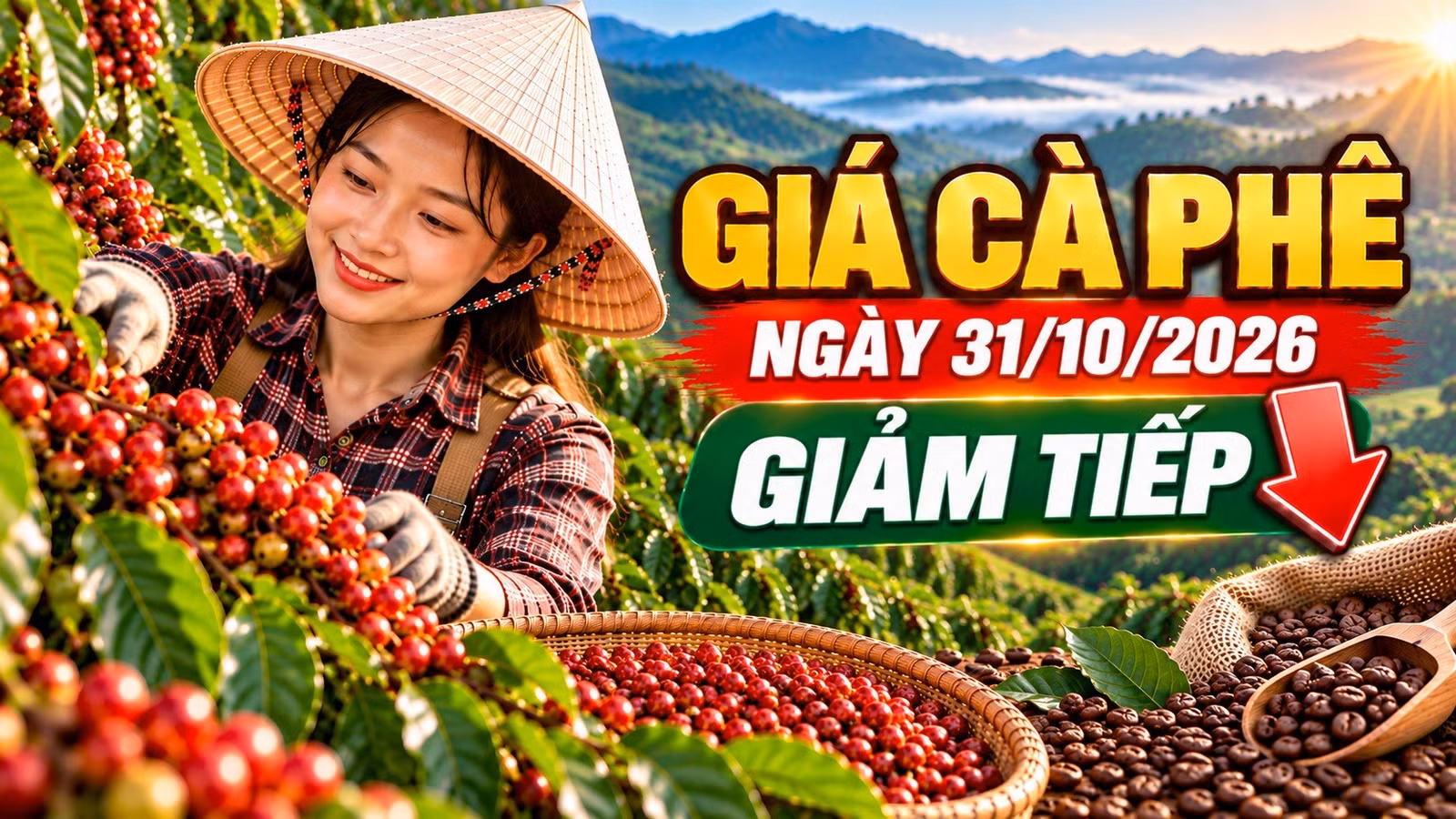 gia-ca-phe-hom-nay-31-2993.jpg