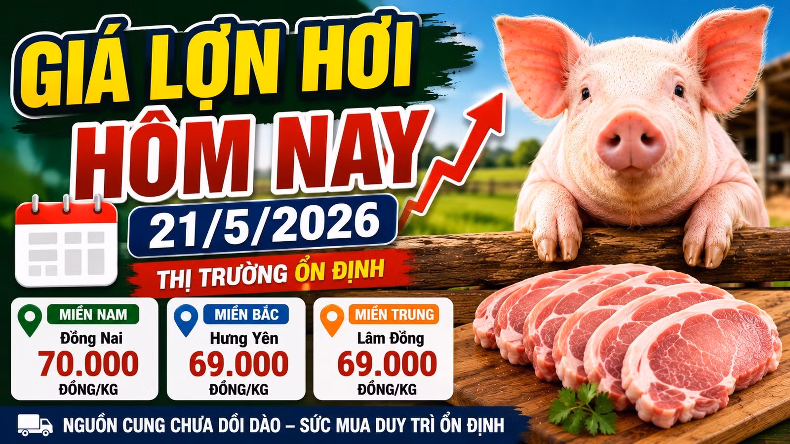 gia-lon-hoi-hom-nay-21-5-2026-7147.jpg