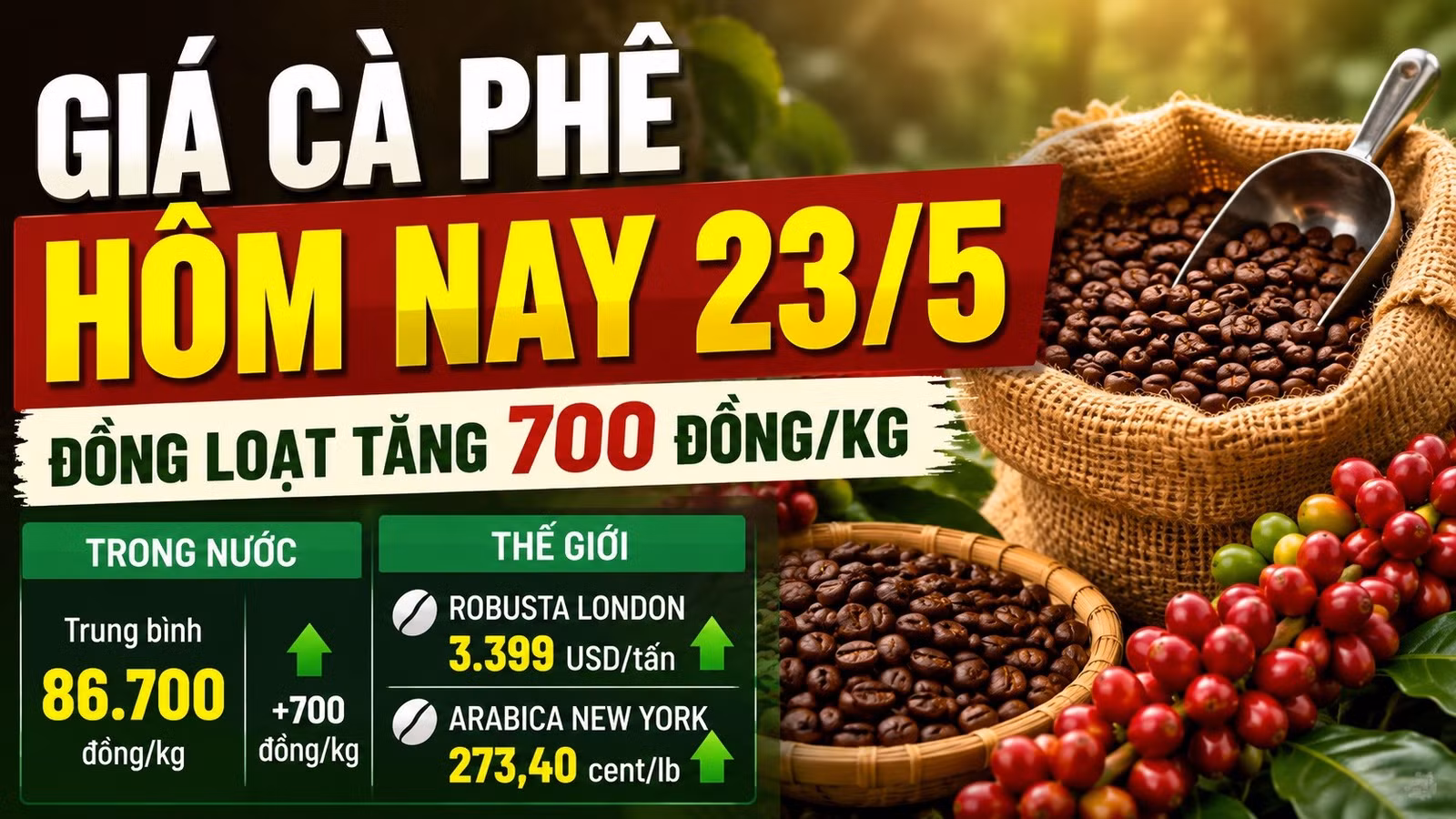 gia-ca-phe-hom-nay-23-5-2026-9604.jpg