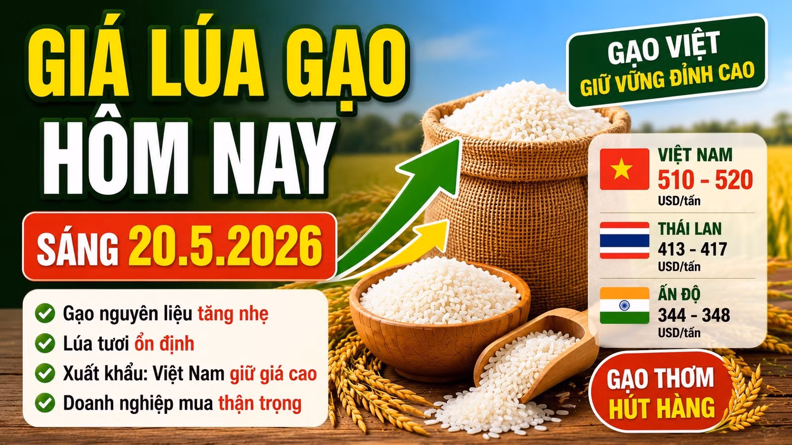 gia-lua-gao-hom-nay-20-5-2026-8673.jpg