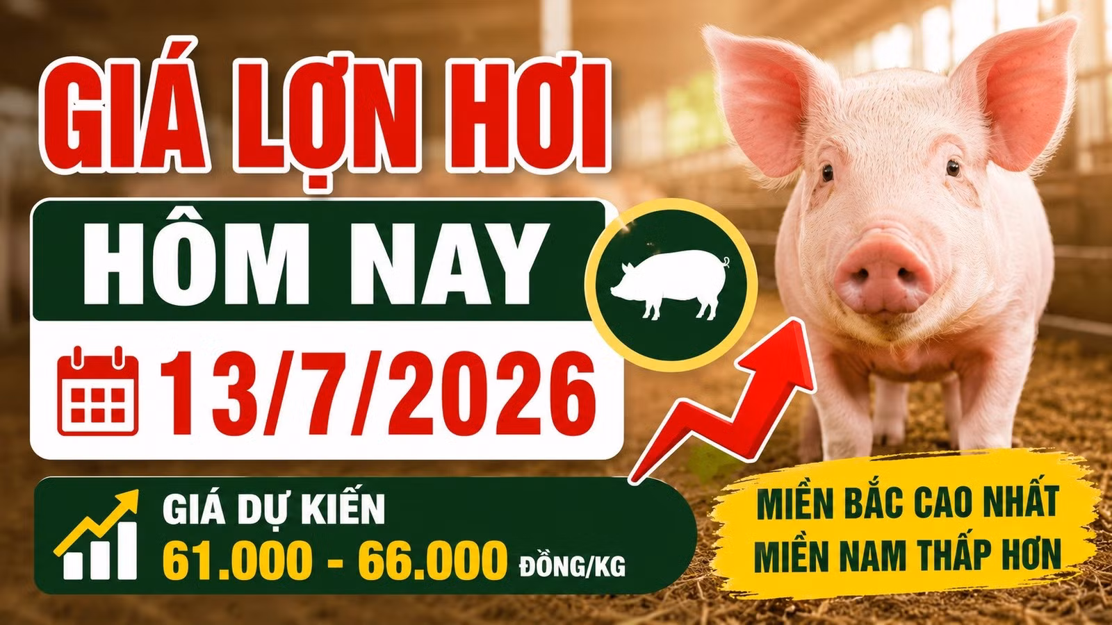 gia-lon-hoi-hom-nay-13-7-2026.jpg