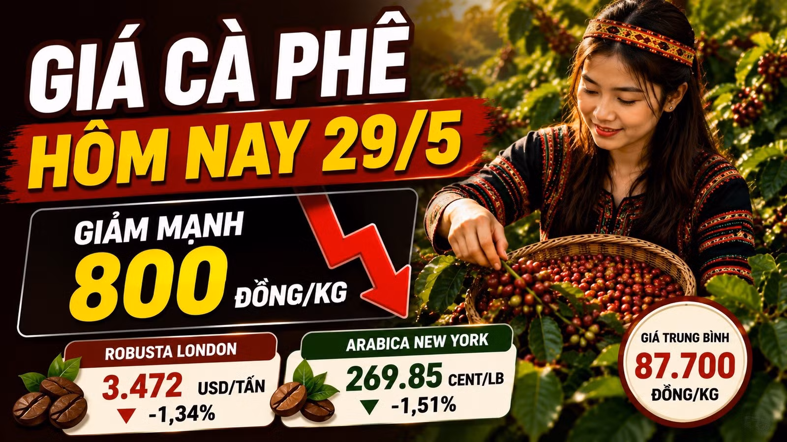gia-ca-phe-hom-nay-29-5-2026-6504.jpg