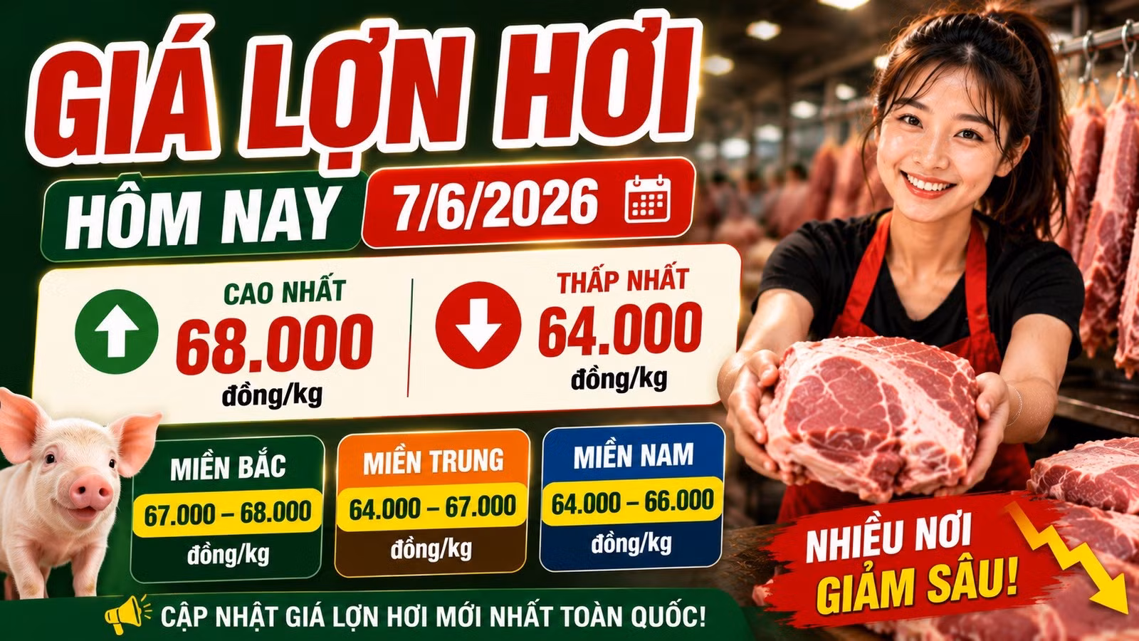 gia-heo-hoi-hom-nay-7-6-2026-6594.jpg