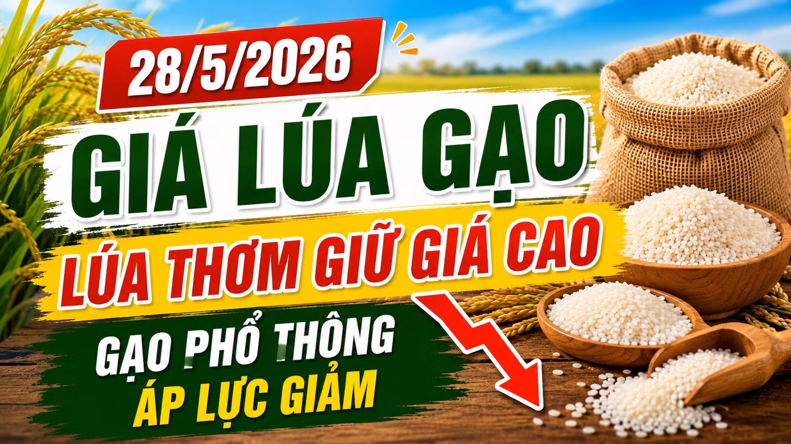 gia-lua-gao-hom-nay-28-5-2026-8471.jpg