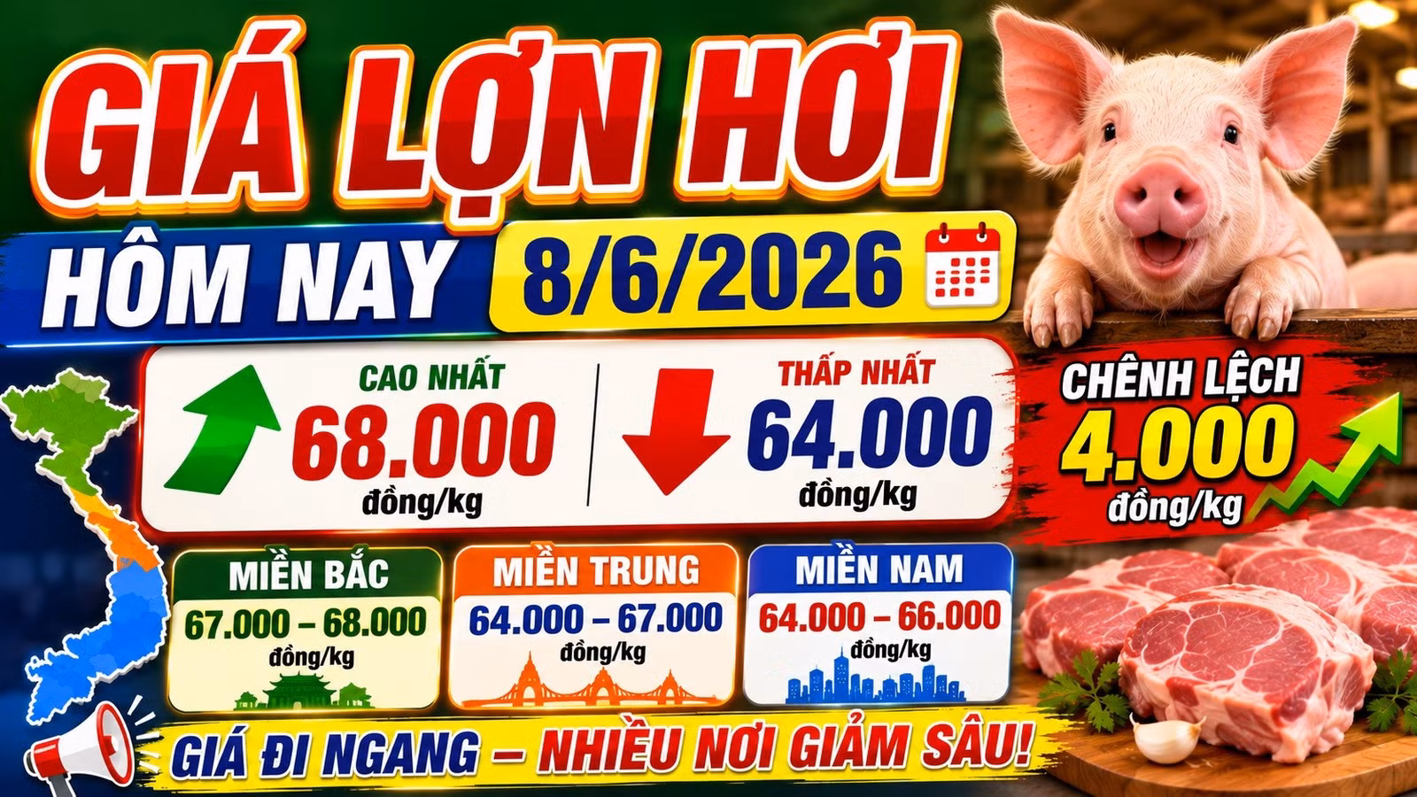 gia-heo-hoi-hom-nay-8-6-2026-5981.jpg