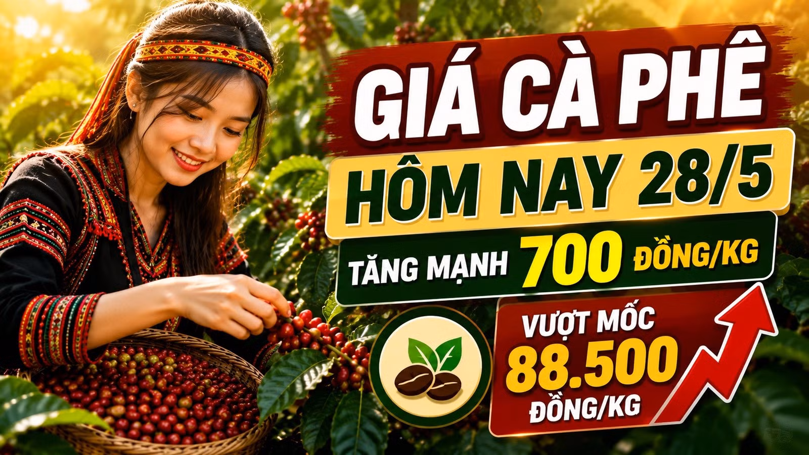 gia-ca-phe-hom-nay-28-5-2026-520.jpg