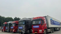 Phân luồng phương tiện qua Cửa khẩu Kim Thành trong mùa xuất khẩu vải năm 2025