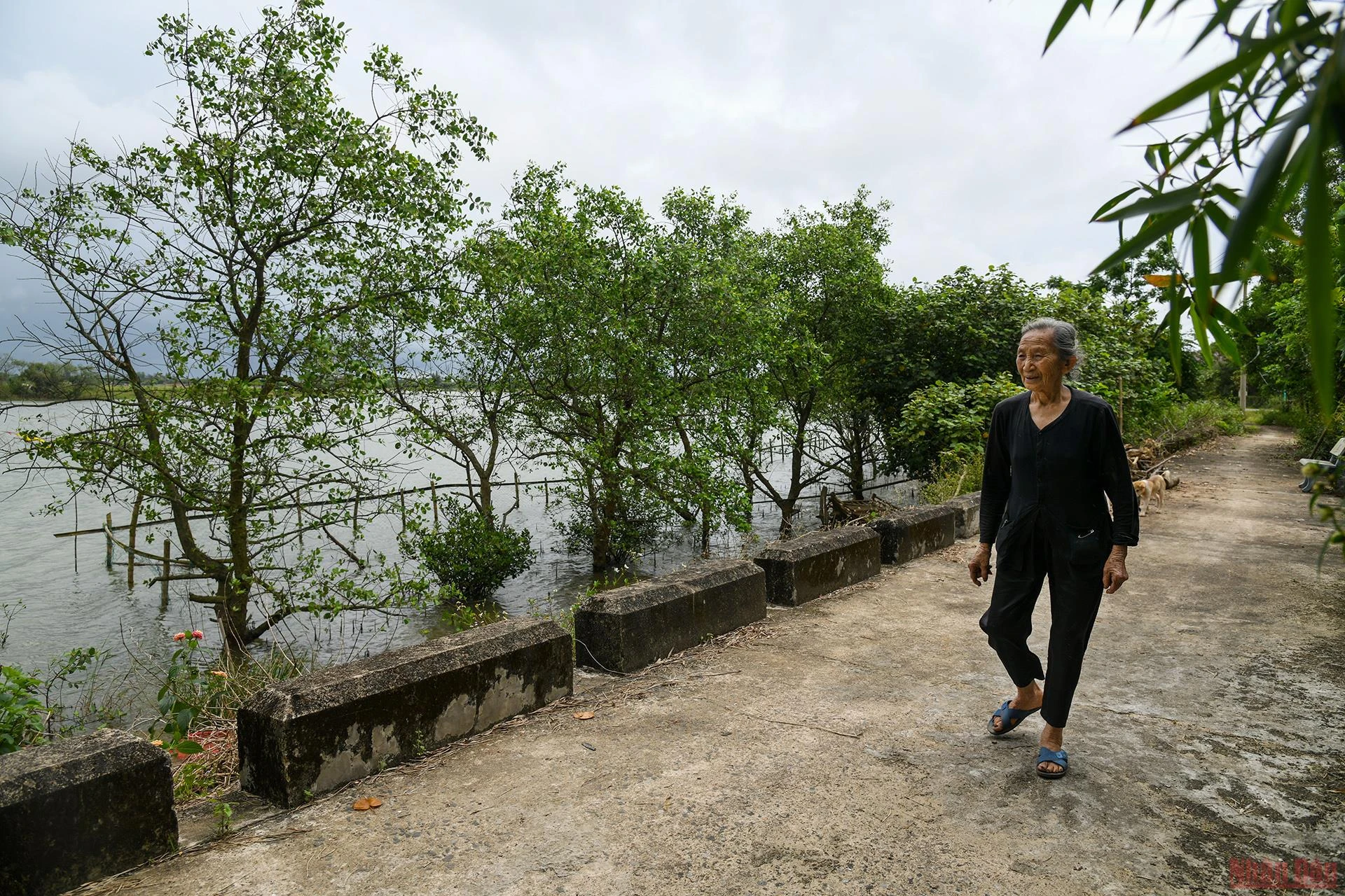 Chung một dòng sông: Những mối tình đôi bờ vĩ tuyến -0