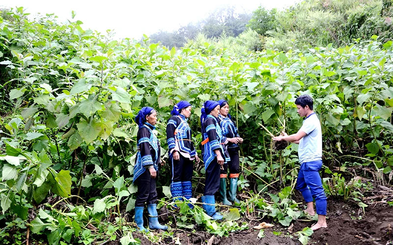 Động lực phát triển nhìn từ vai trò cấp ủy -0