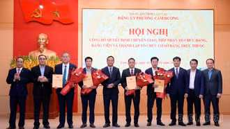 Công bố quyết định chuyển giao, tiếp nhận tổ chức đảng, đảng viên