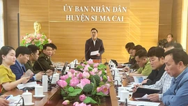 Si Ma Cai: Triển khai kế hoạch thực hiện điều tra xác định hiện trạng rừng, trữ lượng các bon rừng giai đoạn 2024 -2025