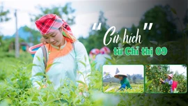 “Cú hích” từ Chỉ thị 09