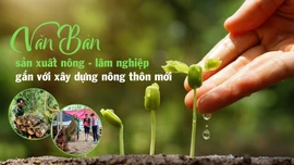 Văn Bàn sản xuất nông - lâm nghiệp gắn với xây dựng nông thôn mới