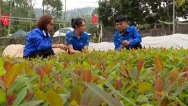 Những cán bộ đoàn tiên phong ở cơ sở