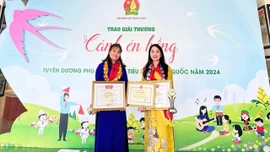 Hai giáo viên đạt giải thưởng "Cánh én hồng" và được tuyên dương phụ trách Đội tiêu biểu toàn quốc năm 2024