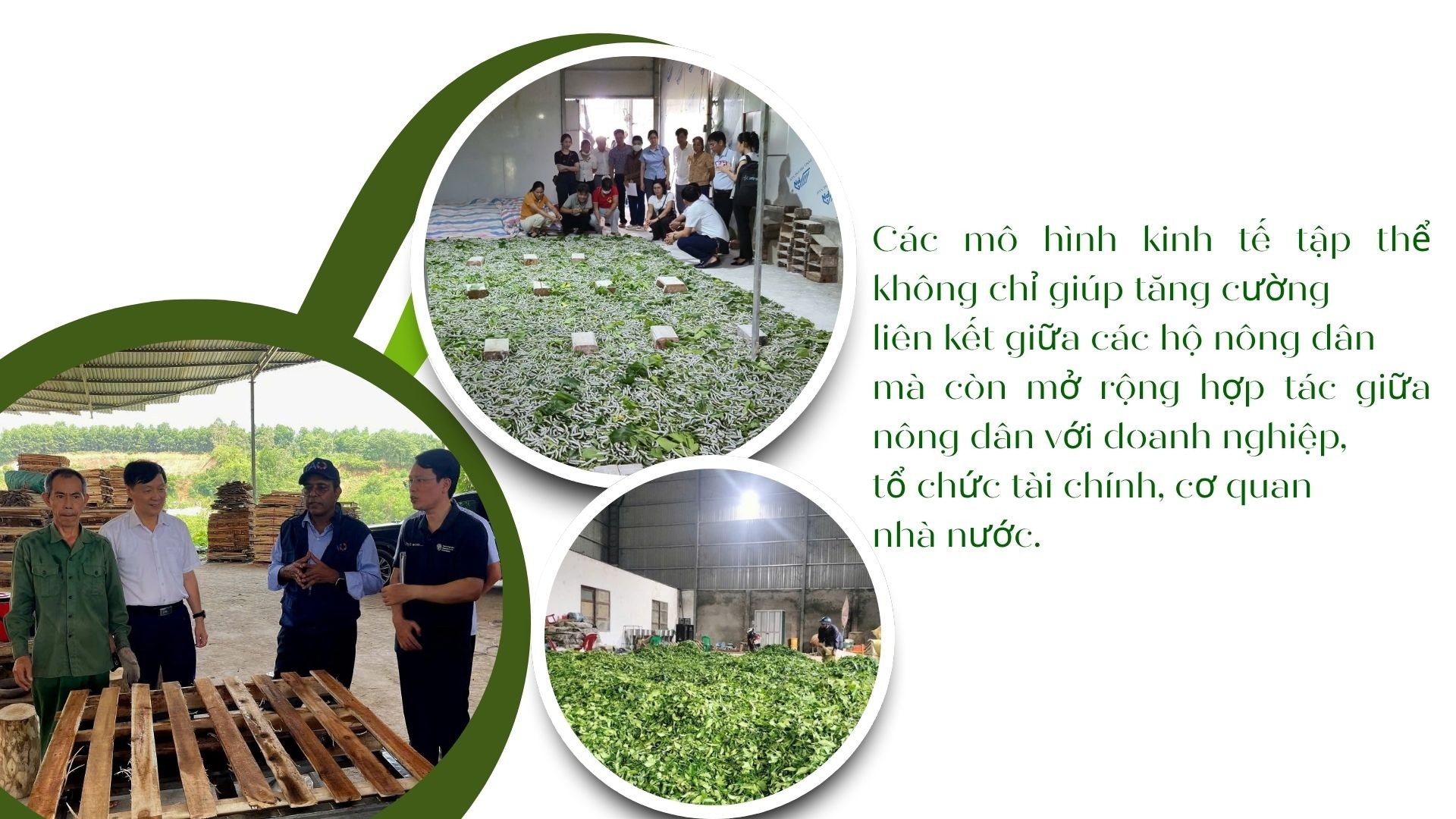 green-modern-hydroponic-farming-innovations-presentation-75.jpg