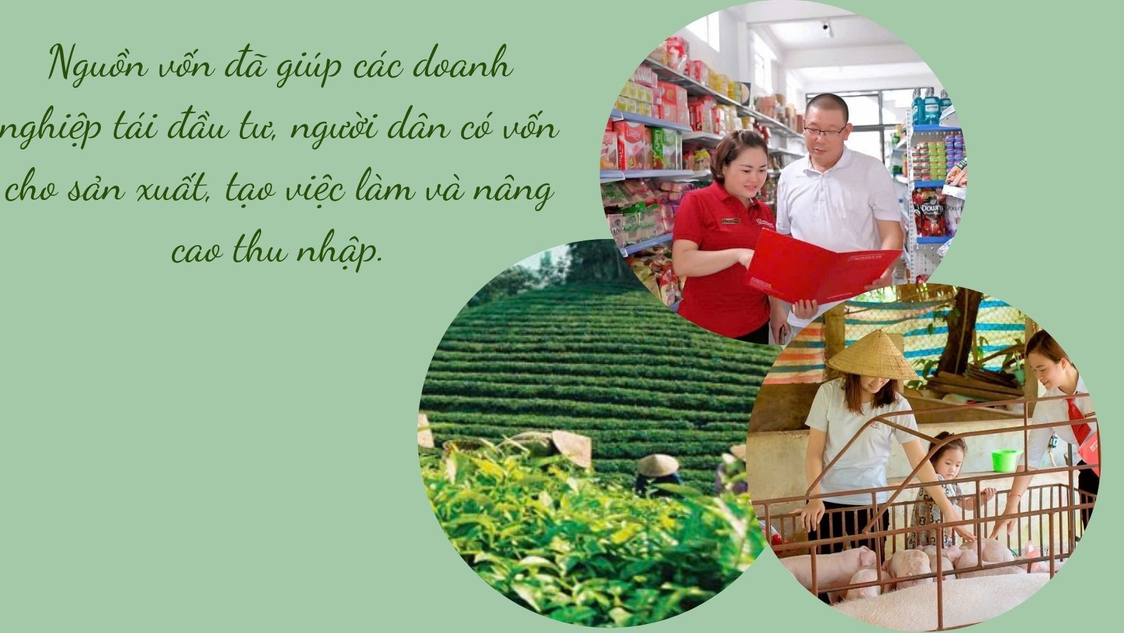 kham-pha-chu-net-co-anh-anh-bia-facebook-2.jpg