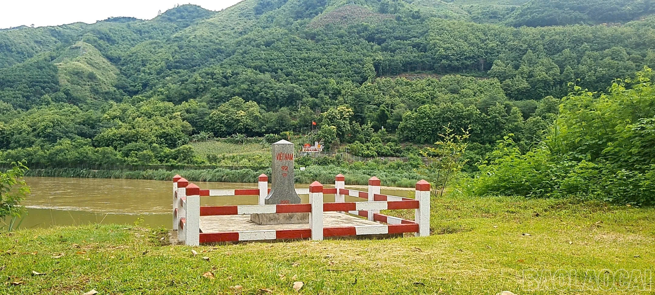 baolaocai-br_z7998704711900-b156ae967c3b60fb3d7204485364d6d5.jpg