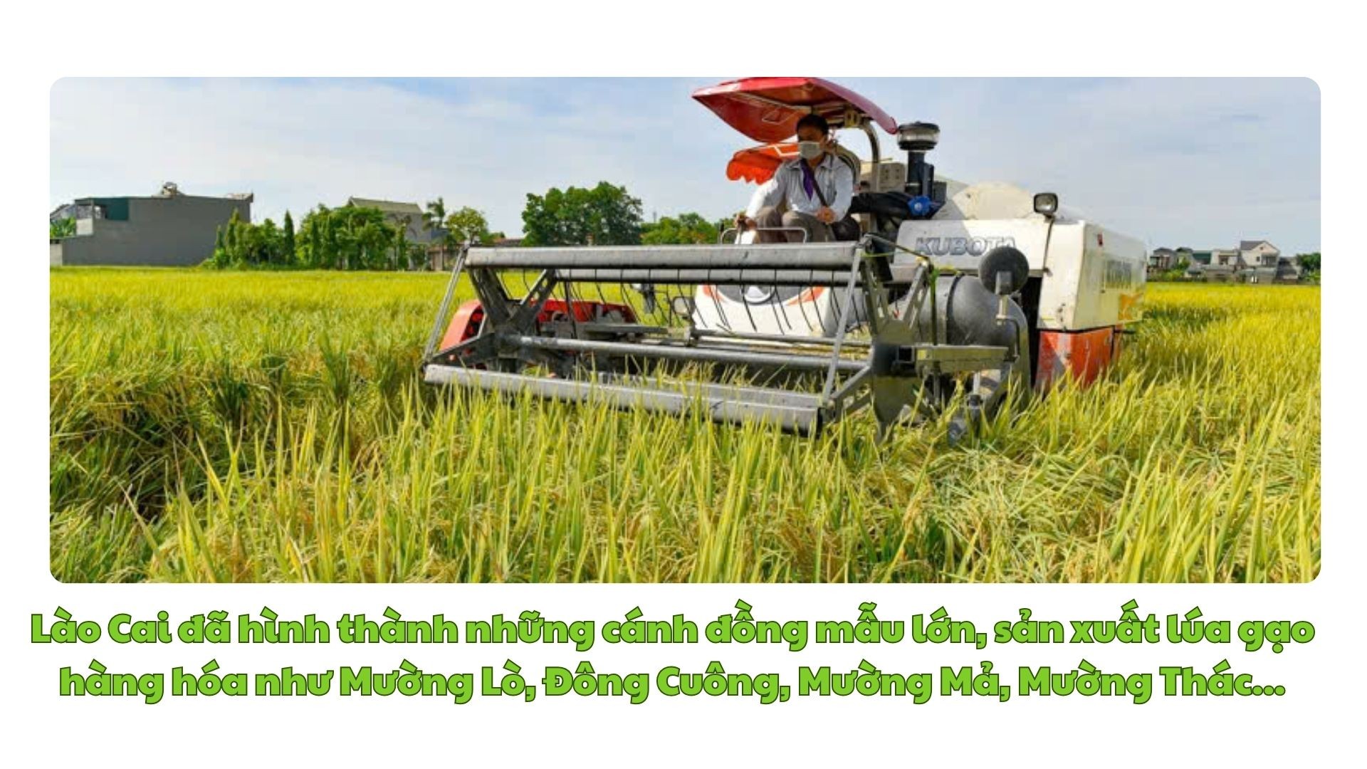 green-modern-hydroponic-farming-innovations-presentation-27.jpg